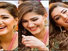 अचानक मुझे Kiss कर दिया’, लाइव परफॉर्मेंस के दौरान छेड़छाड़ से घबराईं सपना चौधरी