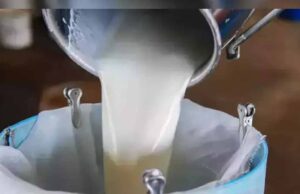 हौसले और मेहनत से पूजा ने रचा सफलता का नया अध्याय, 80 लाख का वार्षिक कारोबार